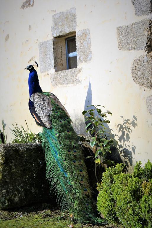 Bed and Breakfast Chateau De La Chasse-Guerre Hardanges Экстерьер фото